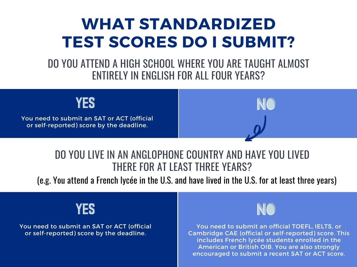 Standardized Testing Dbq